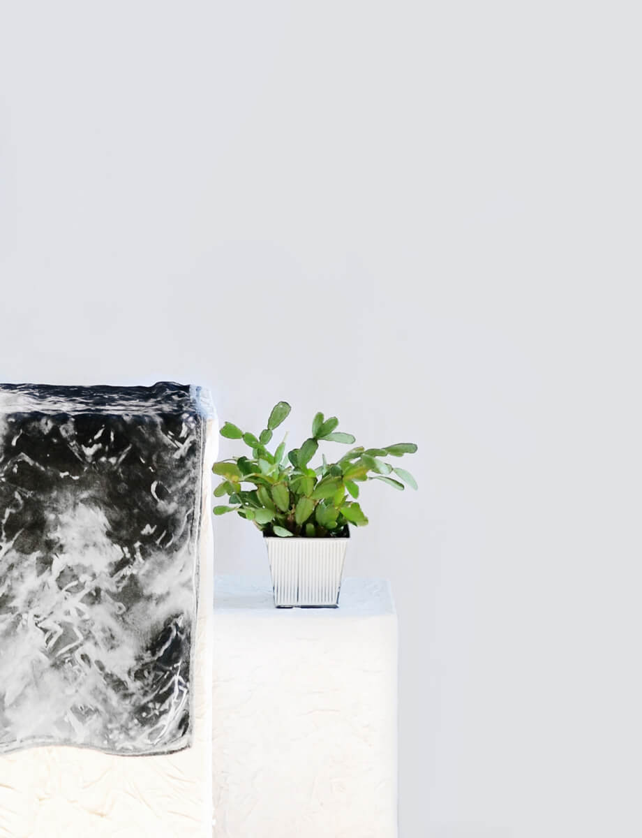 Detail of black and white silk scarf and plant positioned on white stands