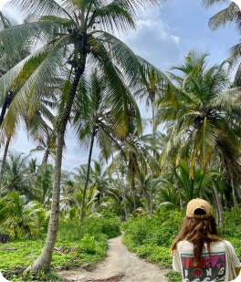Sara walking amongst tree palms