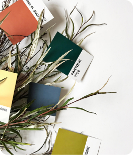 Pantone colour cards spread among leaves